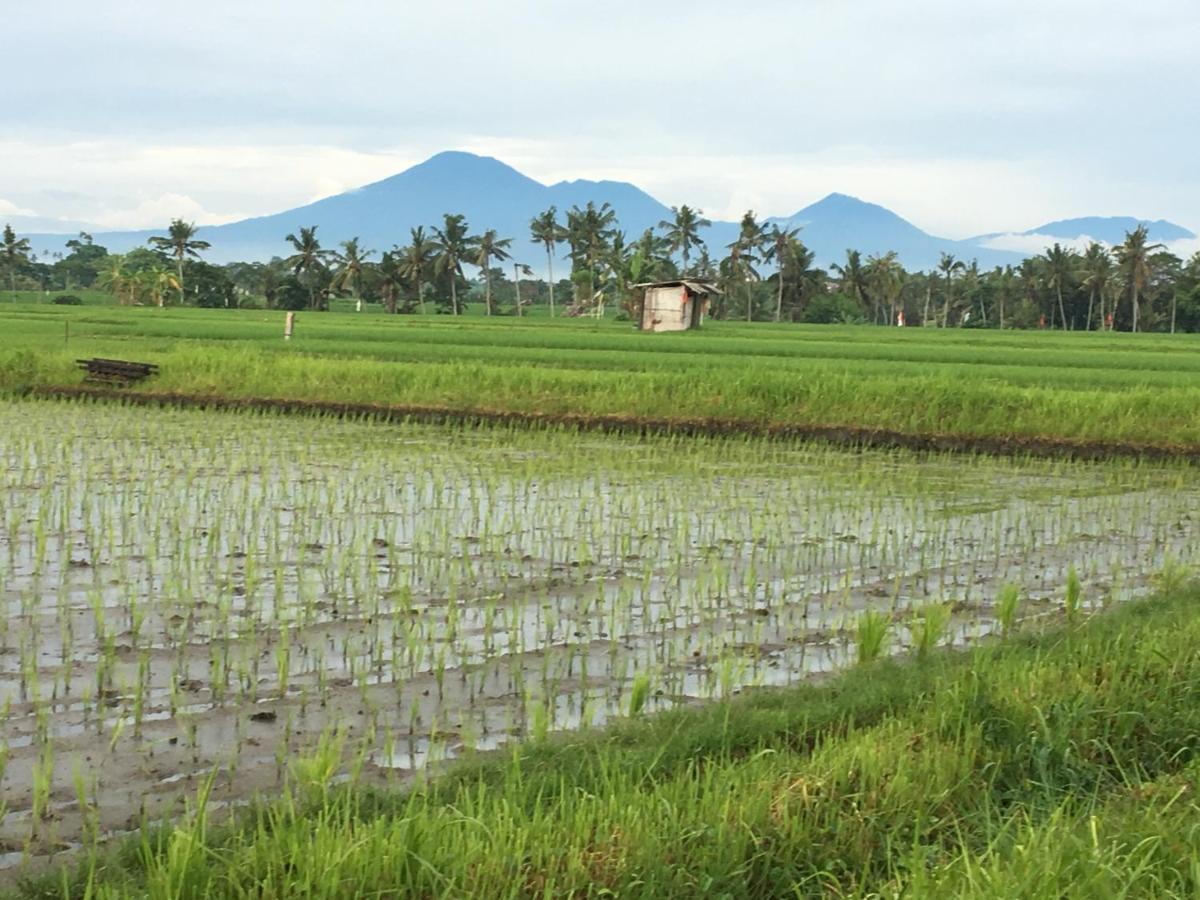 坎古Bali Harmony Retreat公寓式酒店 外观 照片