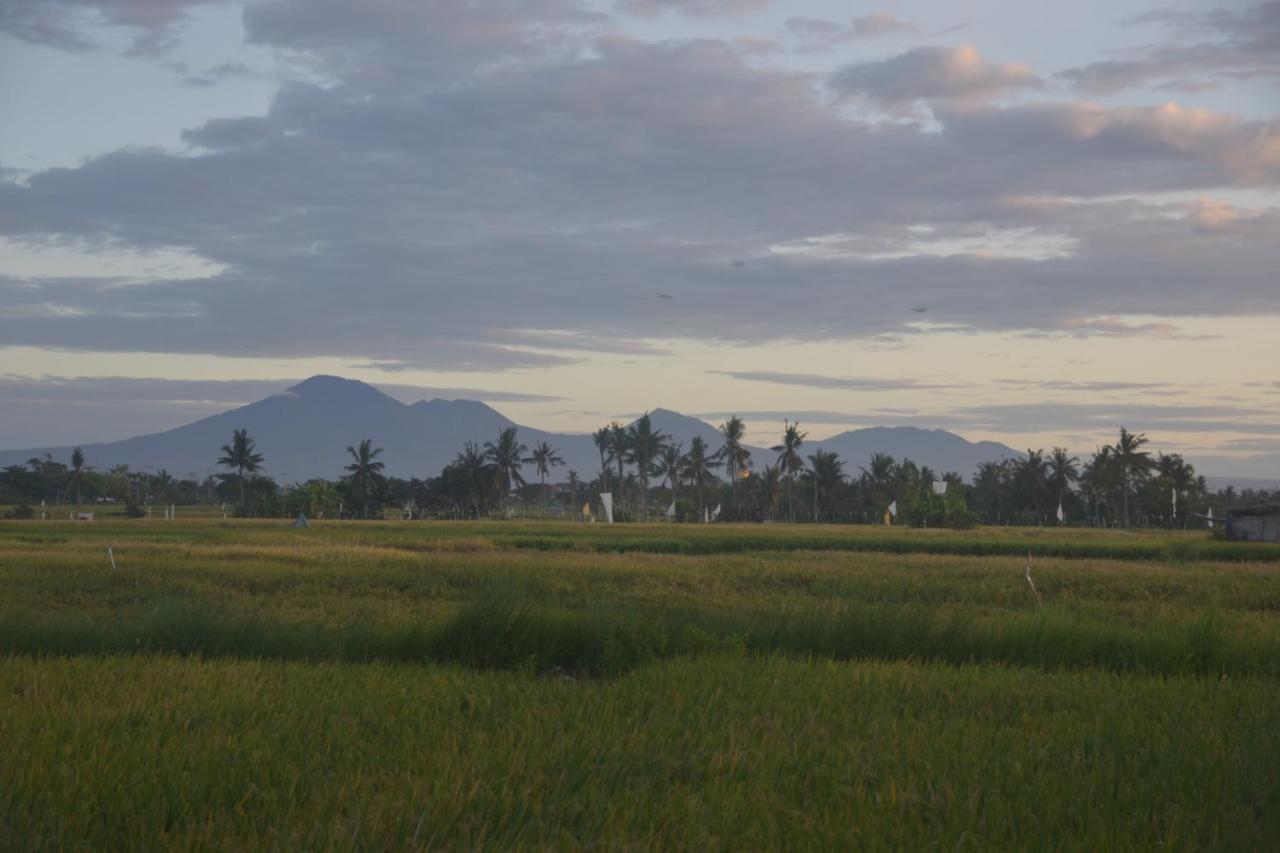 坎古Bali Harmony Retreat公寓式酒店 外观 照片