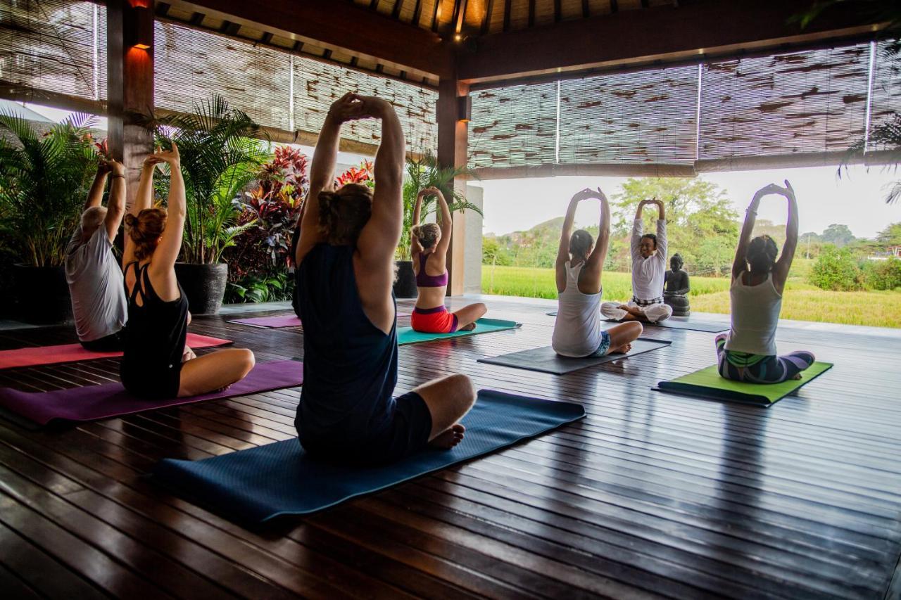 坎古Bali Harmony Retreat公寓式酒店 外观 照片