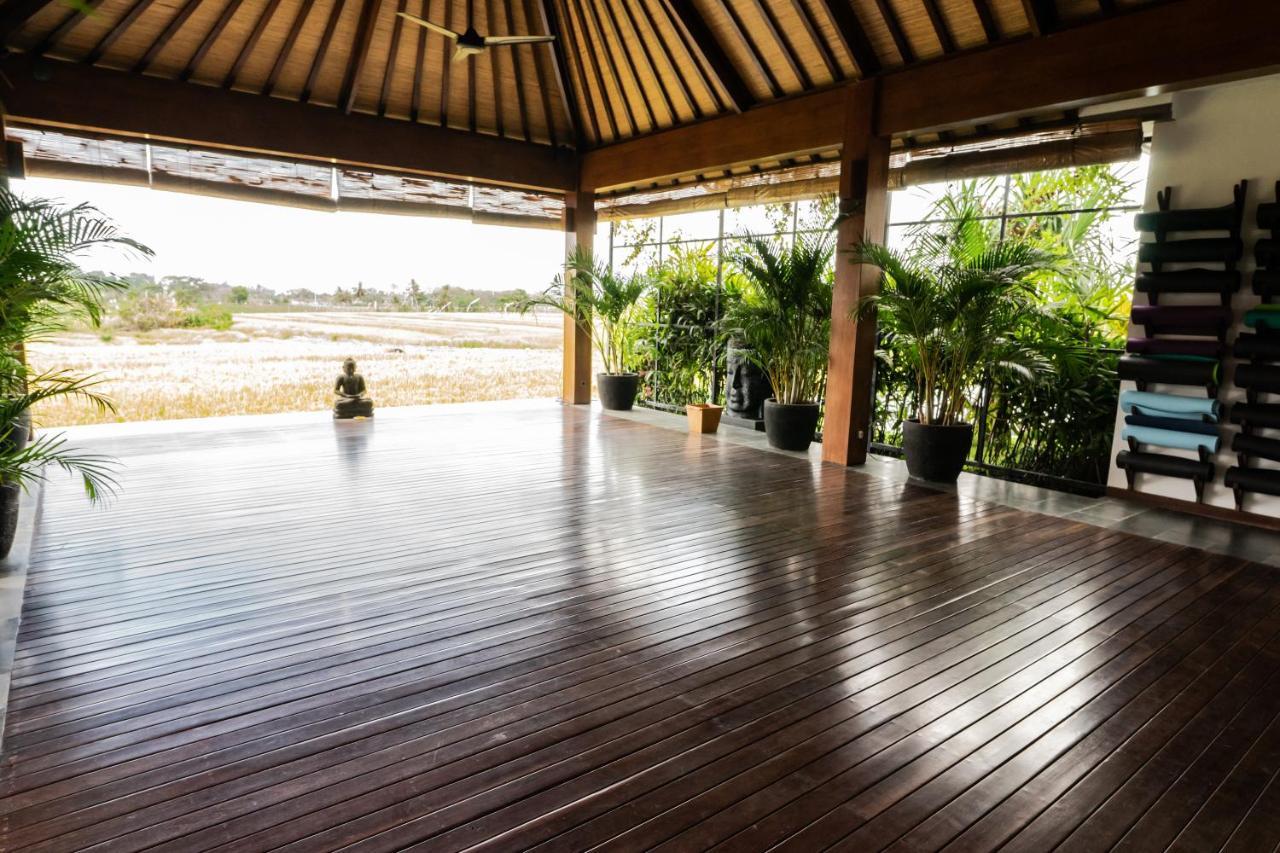 坎古Bali Harmony Retreat公寓式酒店 外观 照片